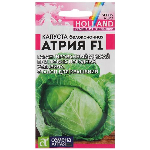 ���������� ������ ������ ����� ������� �����, F1, 12 ��.