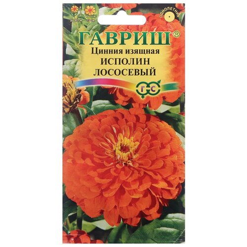 ���������� ������ ������ ������ 