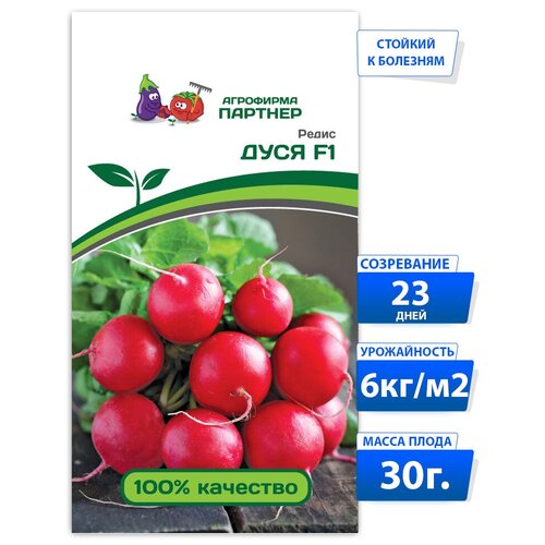 ���������� ������ ����� ���� F1 / ��������� �������/