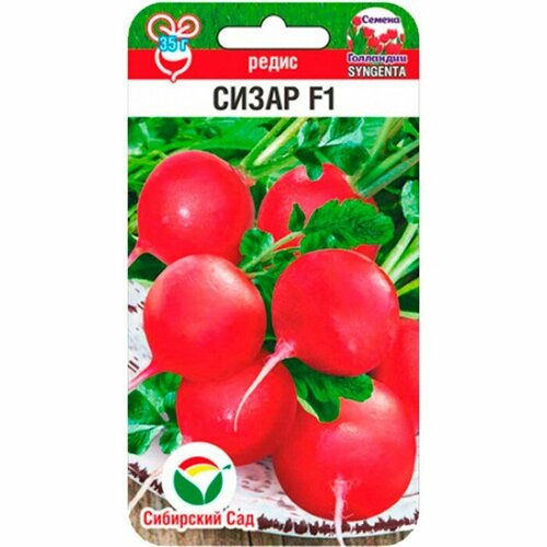 ���������� ����� ����� F1 60��/10