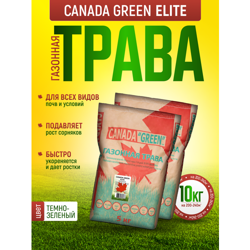     10 /    10/ Canada Green Elite 10/   , ,    , -, 