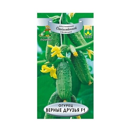 ���������� ������ ������� ����� ������ ������ 12 ��