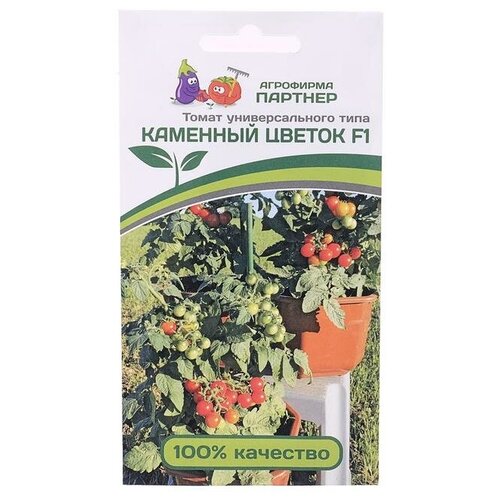 ���������� ������ ������ 