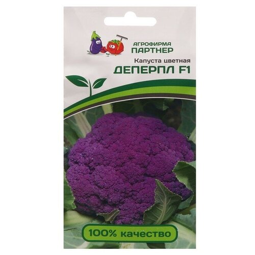 ���������� ������ ������� ������� 