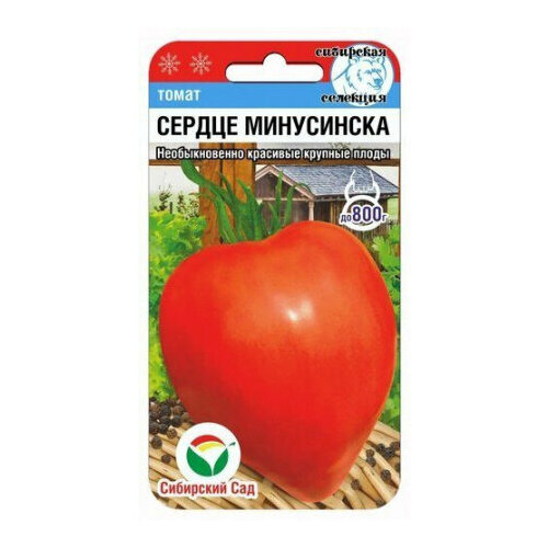 ���������� ������ ����� ������ ���������� 20�� ����� (��������� ���)