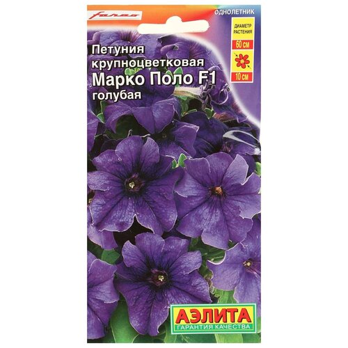 ���������� ������ ������� 