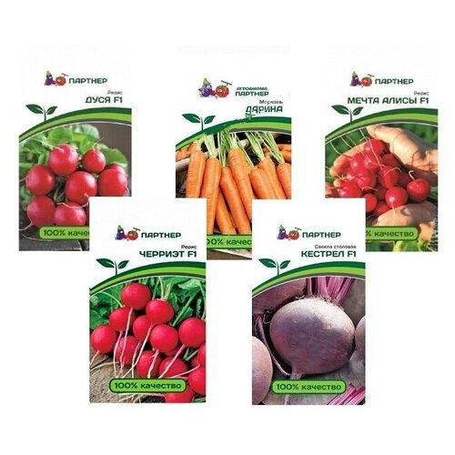 ���������� ����� ����� 