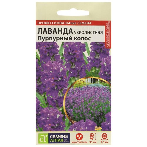 ���������� ������ ������ ������� 