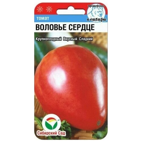 ���������� ����� ������� ������