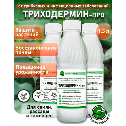 ���������� ���������� ���������� - �����������-��� ������ 3�500�� ����������� ��������� ��� �������� ������-���������. ���������� �������