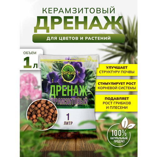 ���������� �������� ������ ��� ������ � ��������� �������� 1 ����, 1 ��������