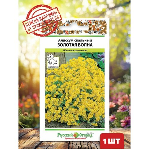 ���������� ������ �������� ������� ������ 