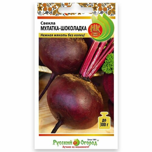 ���������� ������ �������-��������� (1 ��������-3� �����)