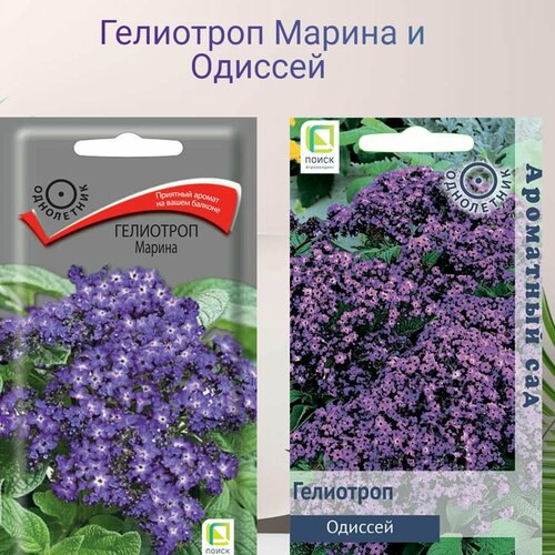 ���������� ��������� ������ � ������� 2 ������ ������