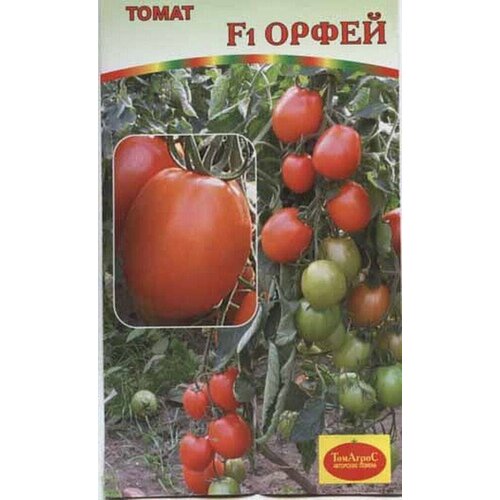 ���������� ������ ����� ����� F1 15�� ��� ������ (�����)