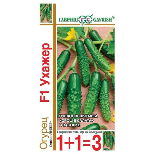 ���������� ������ ������ ������ F1 20�� �� (������) 1+1