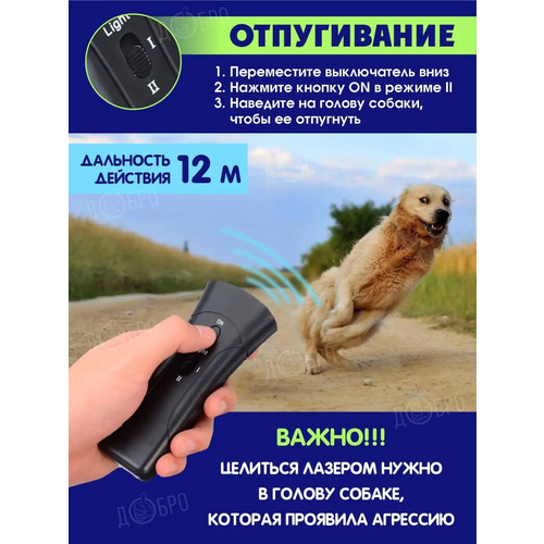 ���������� �������������� ������������ ����� / ������� / ������������-������/ ����������� �����