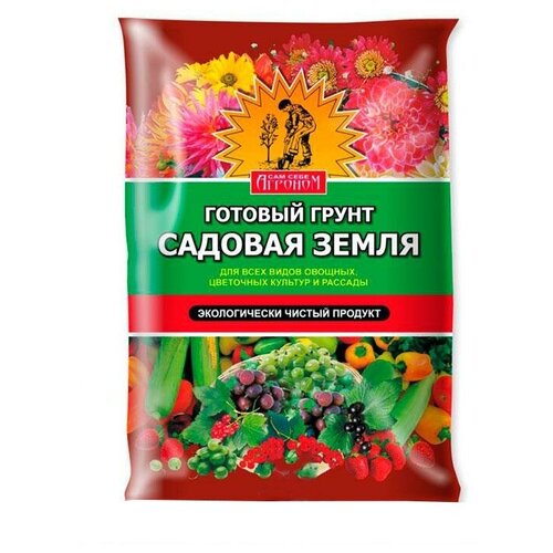 ���������� ����� 