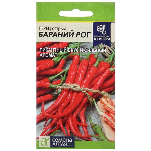 ���������� ������ ����� ������ 