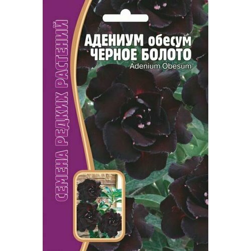 ���������� ������ ������� 