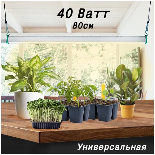 ���������� ��������� ��� �������� ������� ������� �������� ������������ MiniFermer ���� ������� Samsung 4000�+660nm / Led �������������� ��� ��������, ���������, �������, 40�� 80��