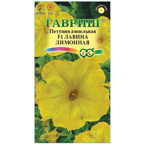 ���������� ������� ��������� ������ �������� F1, �������, ��������