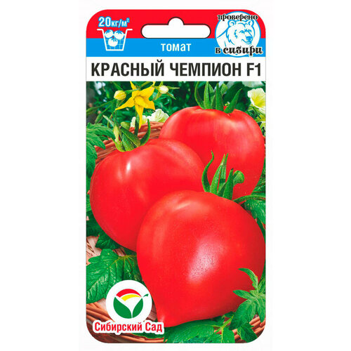 ���������� ������ ����� ������� ������� F1 15�� ����� ������ (��������� ���)