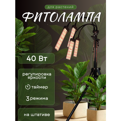 ���������� ��������� ��� �������� ������� ������ ������ 40 ��, �������������� �� �������