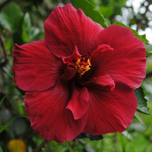 ���������� �������� ���� ���, �����-�������, ����������� ��������������� ��������� ��� ���� � � ����, ��������� ����� 14 ������ ����� ������� �������� ��������, 3 �� �����