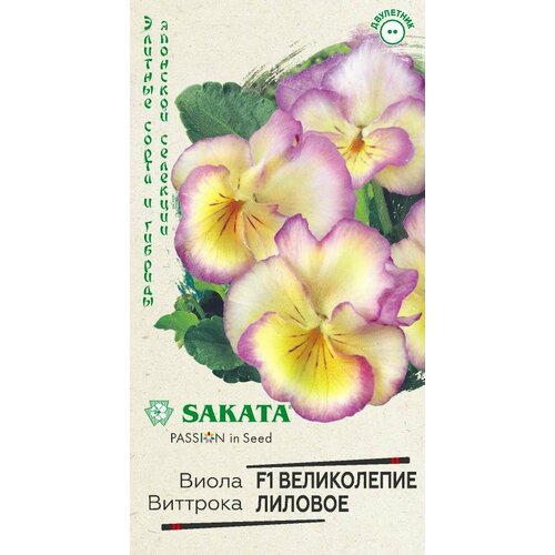 ���������� ������. ����� 