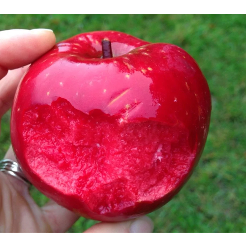 ���������� ������� ������ ����������� ��� ���� ( 2 ���� , �3,5 , 50-75 �� )