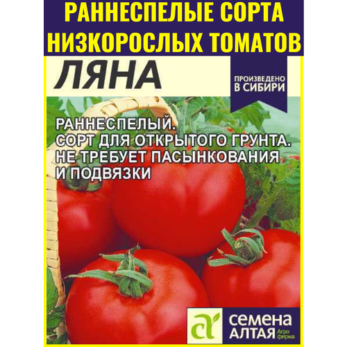 ���������� ������ ������������� ������ ���� - 0,1 �. ����������� ���� ��� ��������� ������ ��� ������������ � ��������