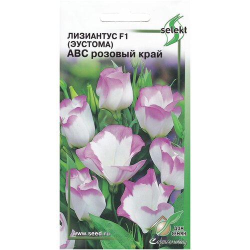 ���������� ��������� F1 (������� ) ��� ������� ����, 5 �����