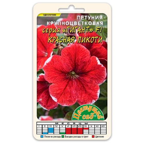 ���������� ����� ������� ��������������� ������ ������� ������ F1 (������ �������� ��� 10 ��. � ������)