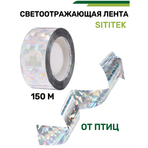 ���������� ������������ ���� ����� ��������������� 150 ������