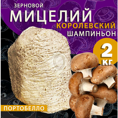 ���������� ������� ���������� ������������ ���������� ��������, ������ ������ - 2 ��