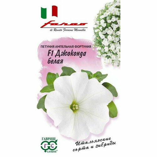 ���������� ������ ������� �������� �����, �����������. F1, ����������, (������) 10�� ����