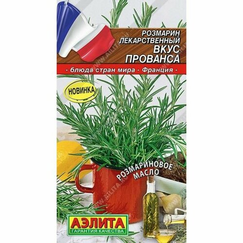 ���������� ������ �������� ���� �������� (������) 20�� ����� ����� ����