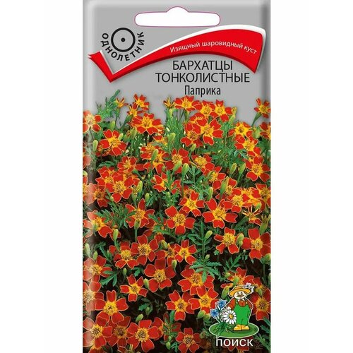 ���������� �������� ������� ���������. 0,1��. �����. (�����)