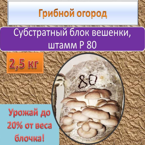 ���������� ����������� ���� ������� ��� ������� ������. ����� 