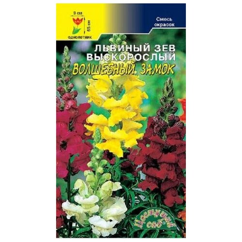 ���������� ������ �������� ��� 