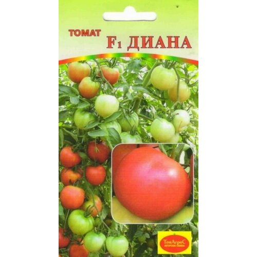 ���������� ������ ����� ����� F1 (�����)