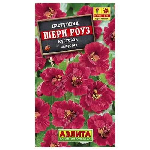 ���������� ������ ��������� ������ ��������� ���� ���� ���������� 1 �