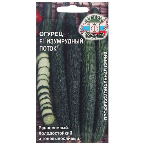 ���������� ������ ���������� ����� F1 ����� (1 ��: 0,2 � )