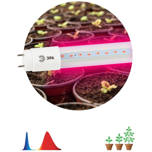 ���������� ��������� ��� �������� ������������ ��� FITO-18W-RB-�8-G13-NL ������-������ ������� 18 �� �8 G13