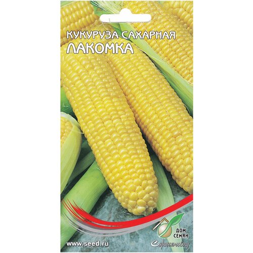 ���������� �������� �������� �������, 17 �����