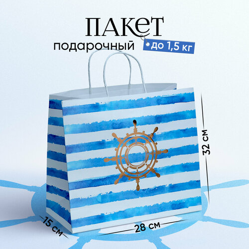 ���������� ����� ���������� ������ ������� �����, 32x28x15 ��, �����/�������