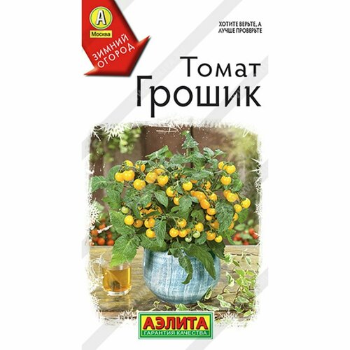 ���������� ������ ����� ������ (������) 10�� ������ ������