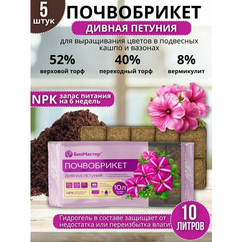 ���������� ��������� ����������� ������ ������� � ����������� ��������� 10 ������, 5 ��