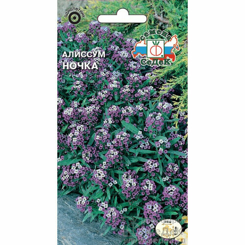 ���������� ������ �������� ����� 